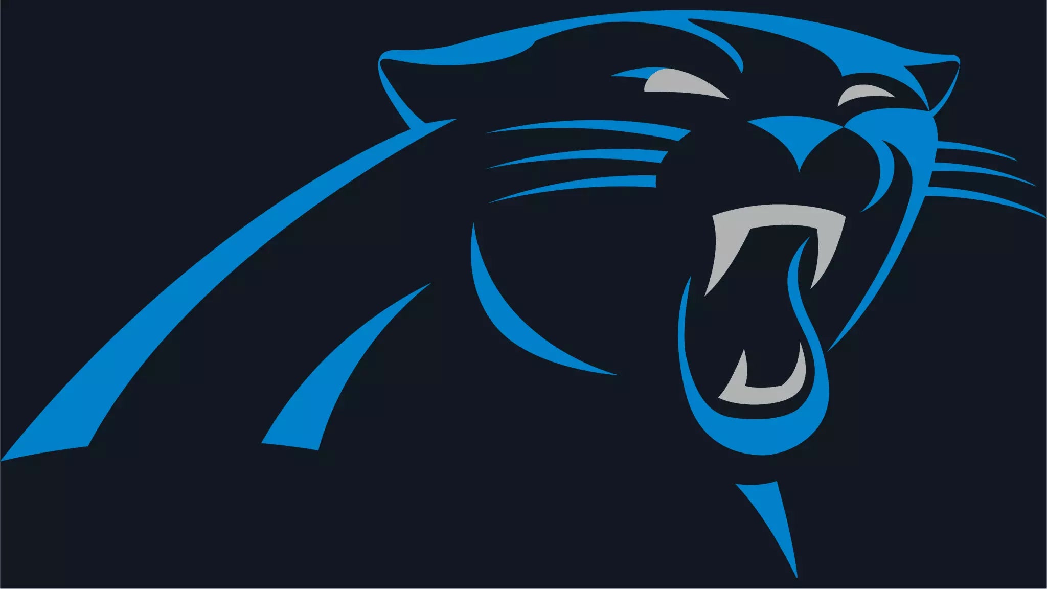 Fix-It Friday: Carolina Panthers – SportsLogos.Net News