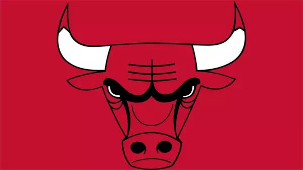 Chicago Bulls Chicago Bulls