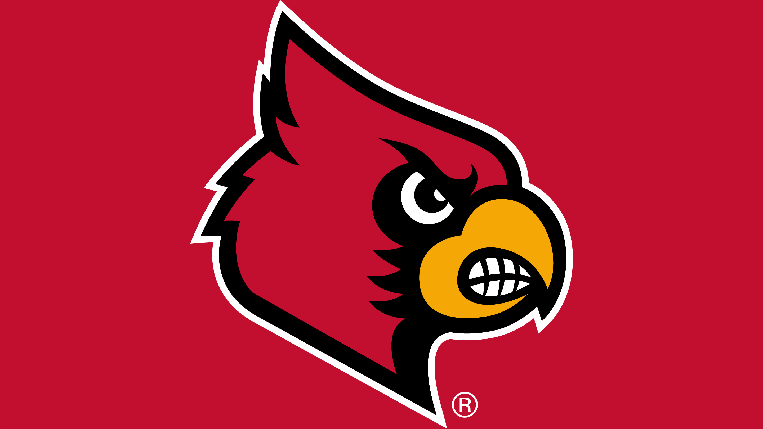 Louisville Cardinals Signature Raschel Throw Blanket