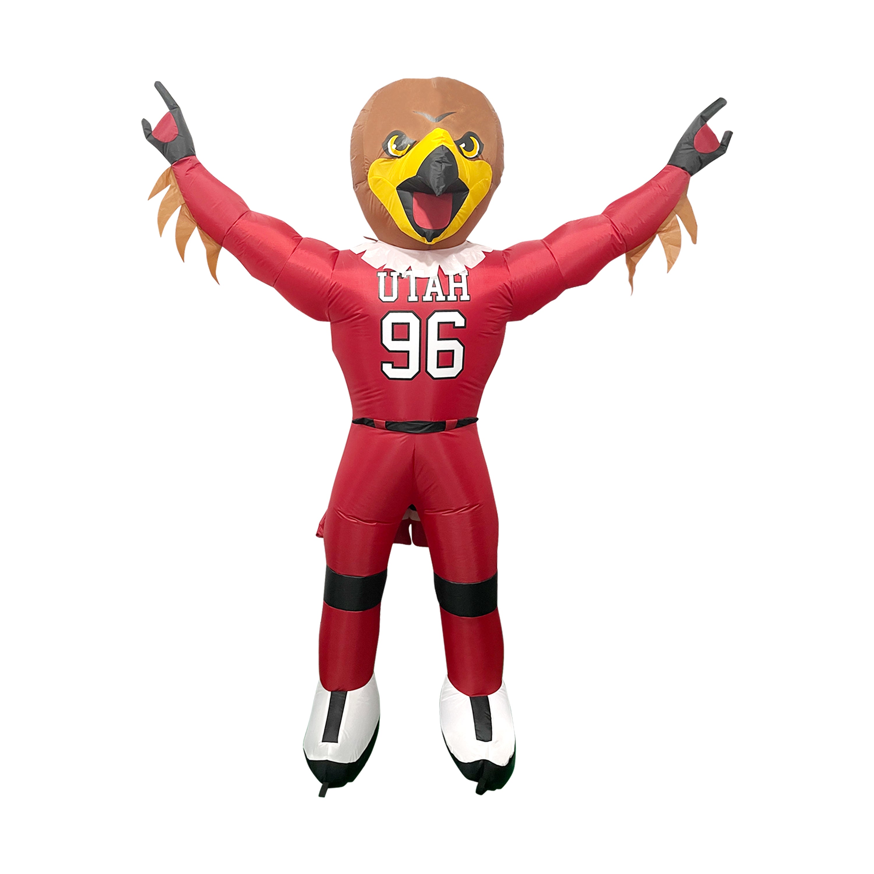 the eagles mascot swoop｜TikTok Search