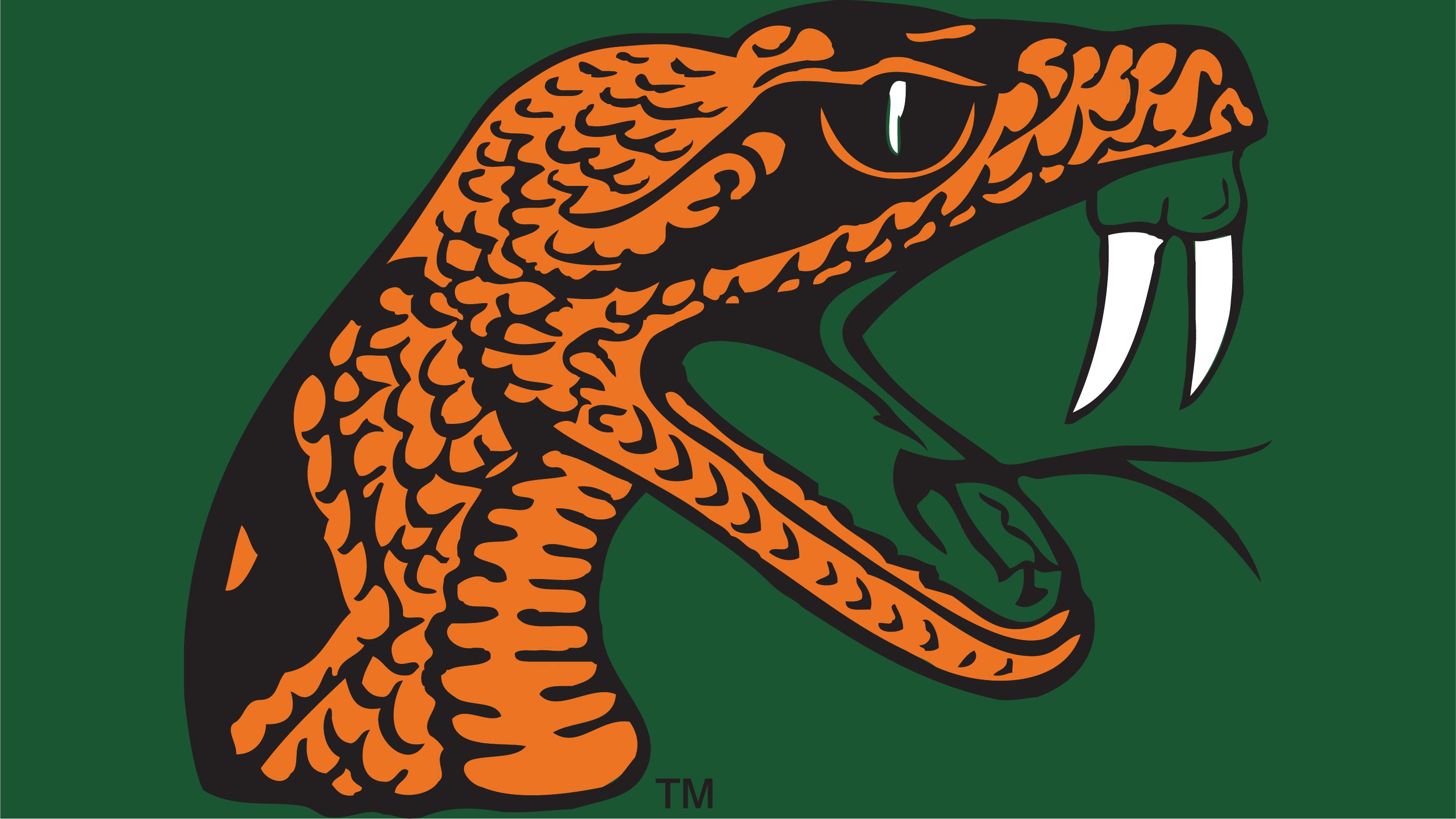 FAMU Logo: Symbol of Pride and Tradition