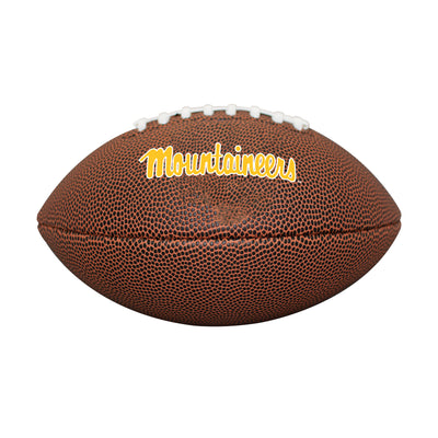 Appalachian State Mini Size Composite Football