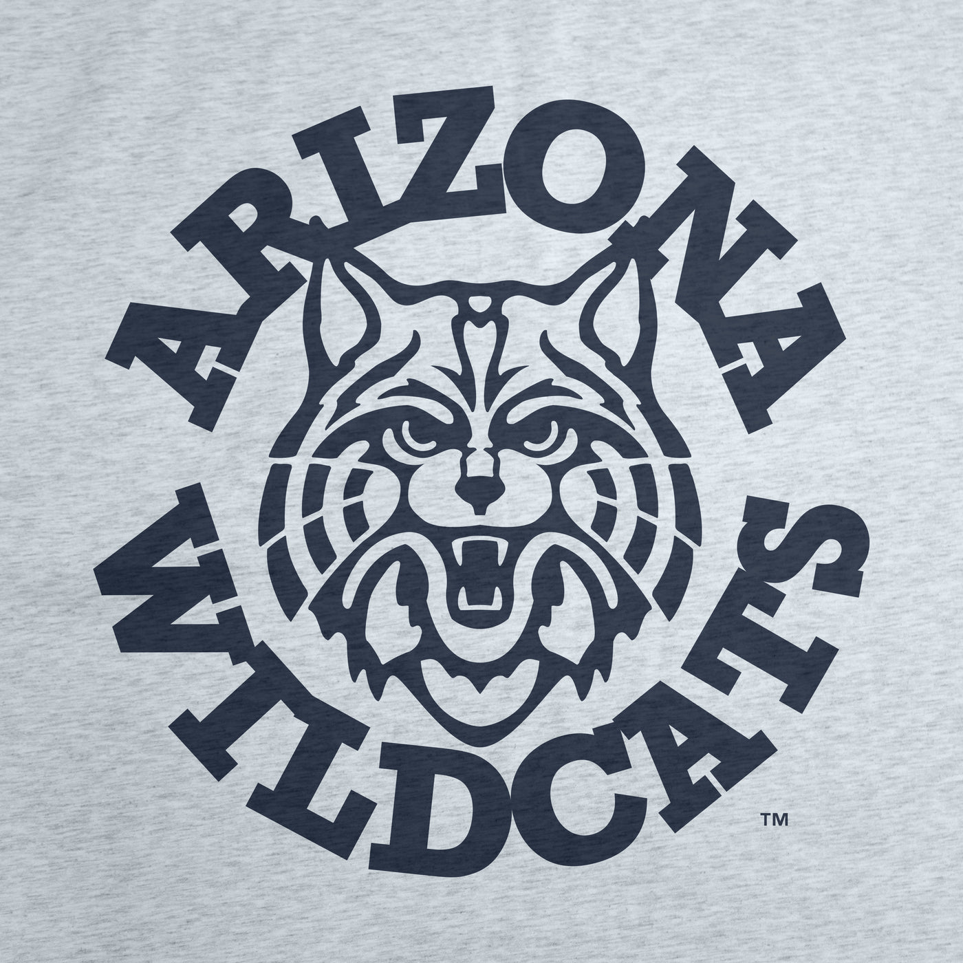 Arizona Vintage Athletic Gray Sublimated Sweatshirt Blanket