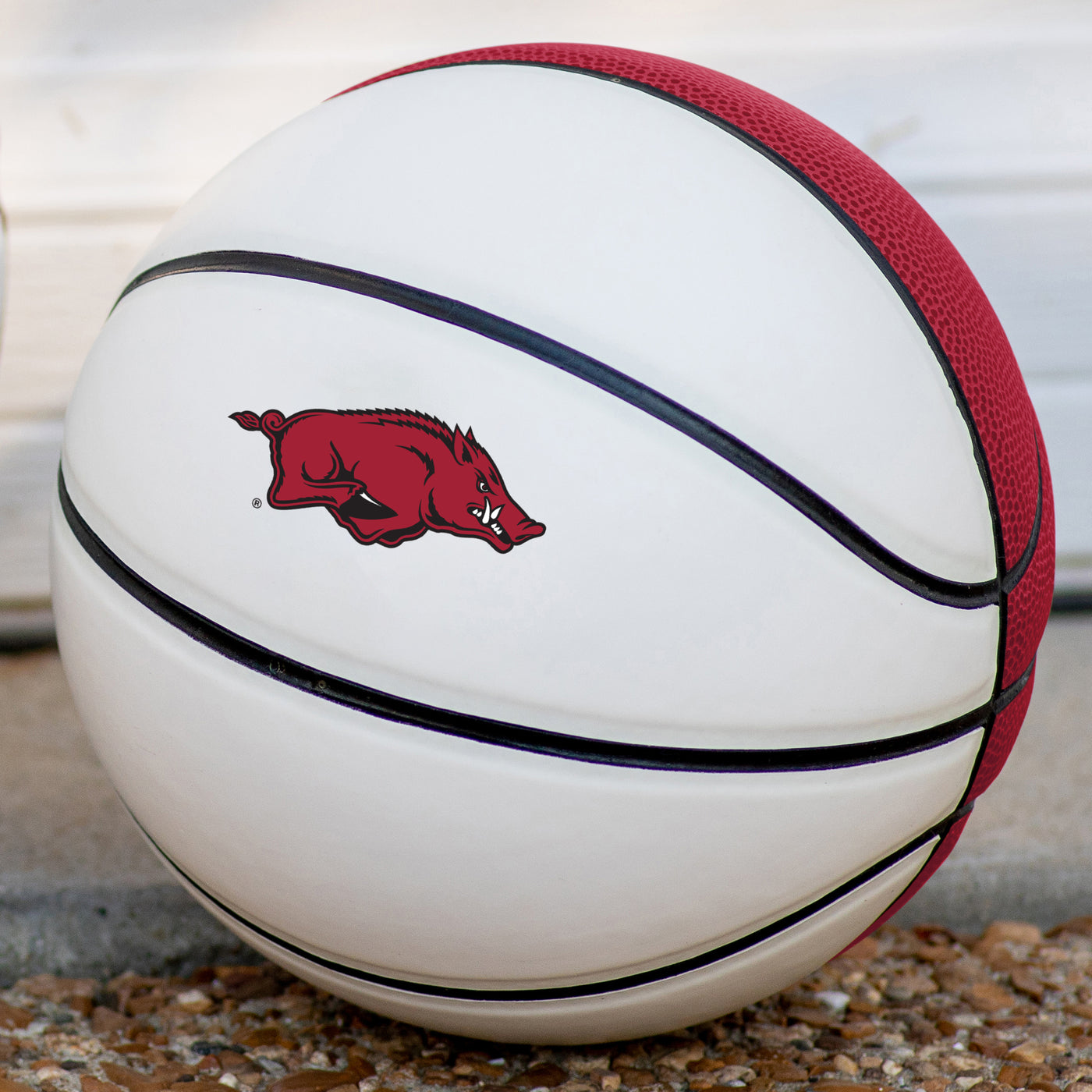 Arkansas Mini Size Autograph Basketball