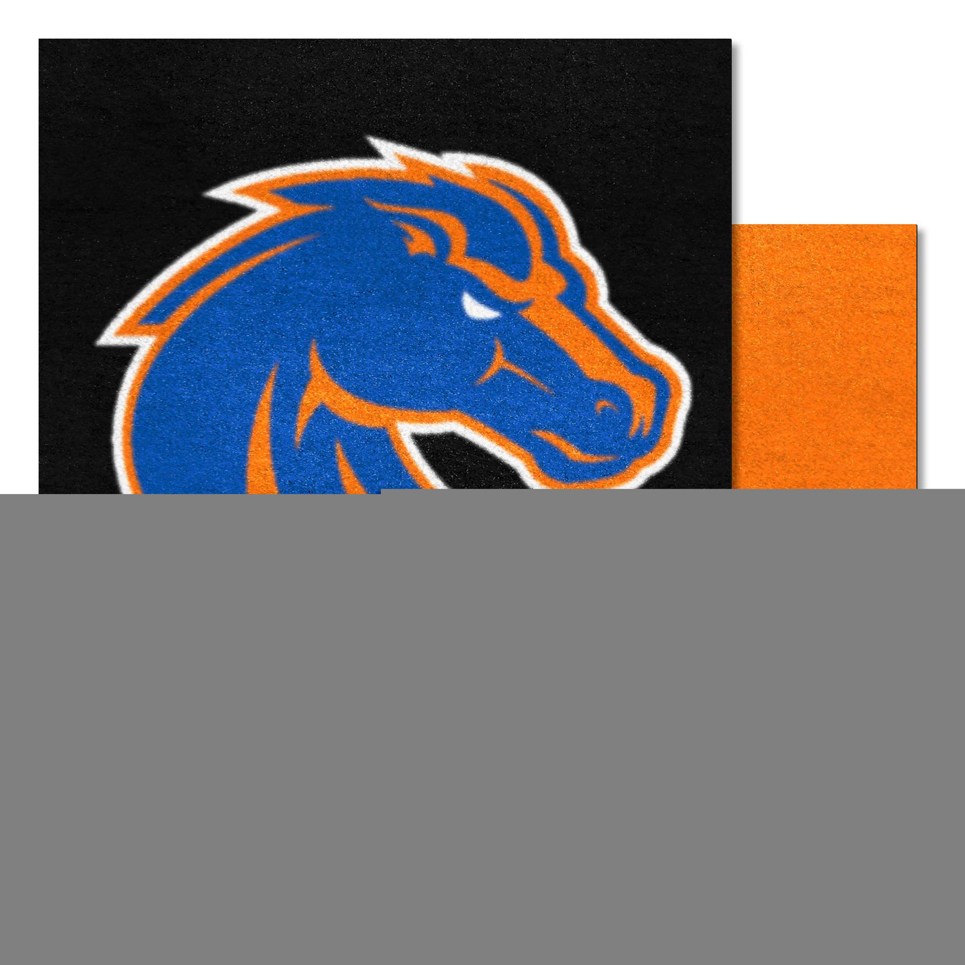 Boise State University Team Carpet Tiles
