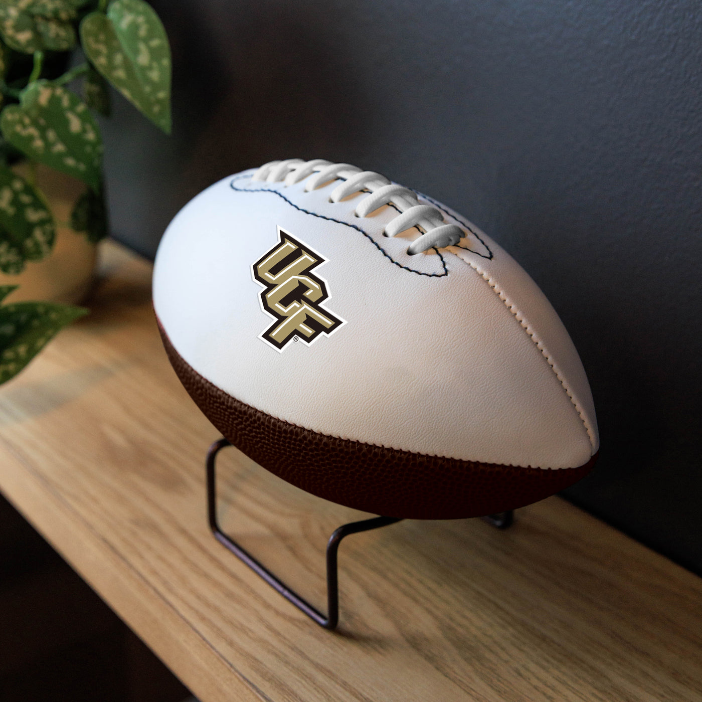 Central Florida Mini Autograph Football