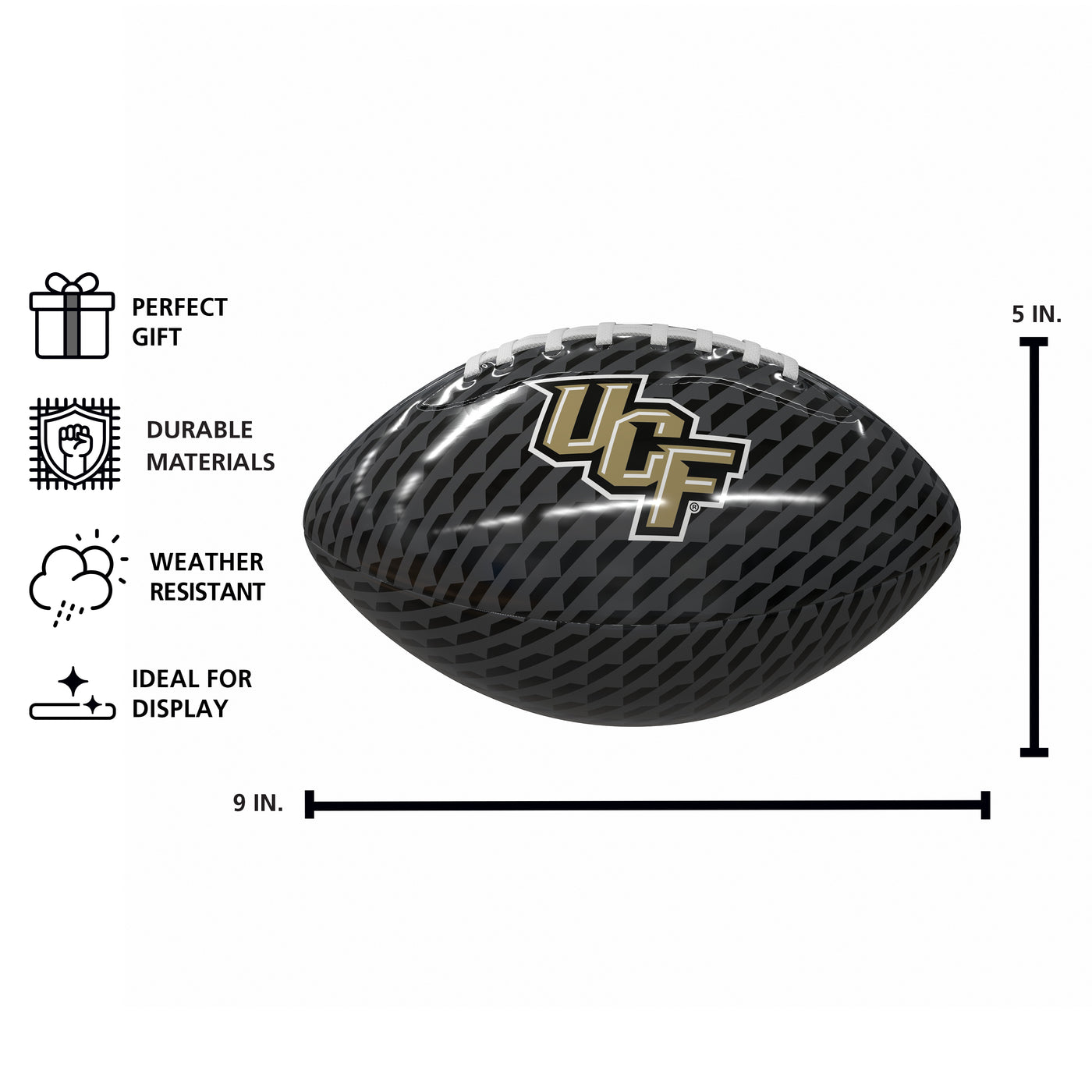 Central Florida Carbon Fiber Mini Size Glossy Football