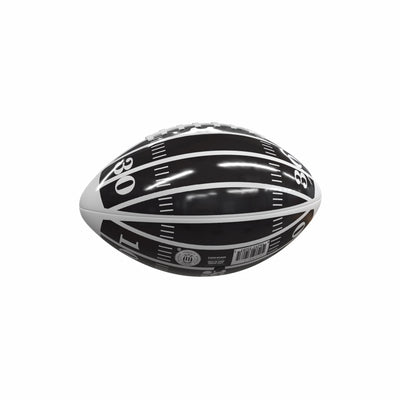 Central Florida Field Mini-Size Glossy Football