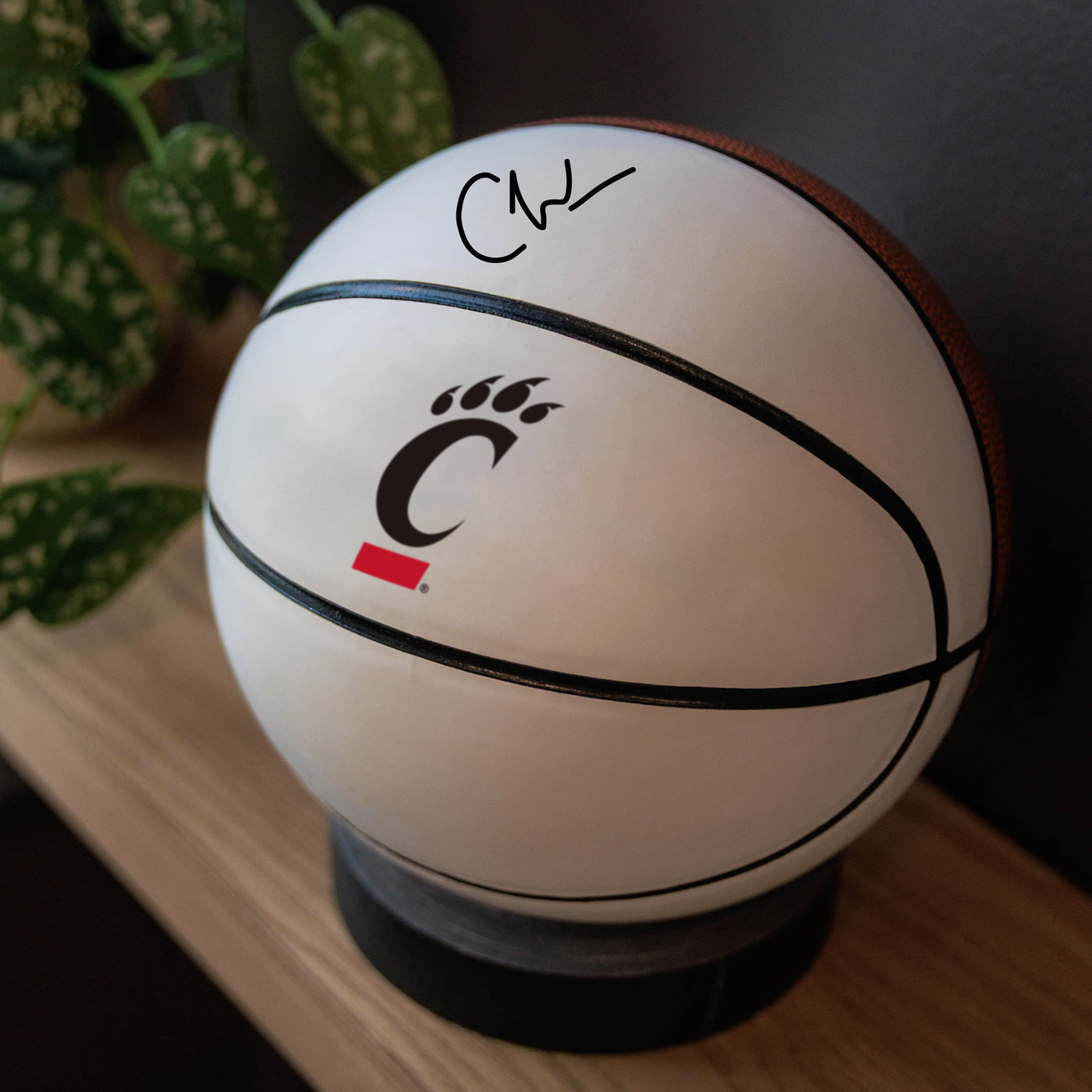 Cincinnati Mini Size Autograph Basketball