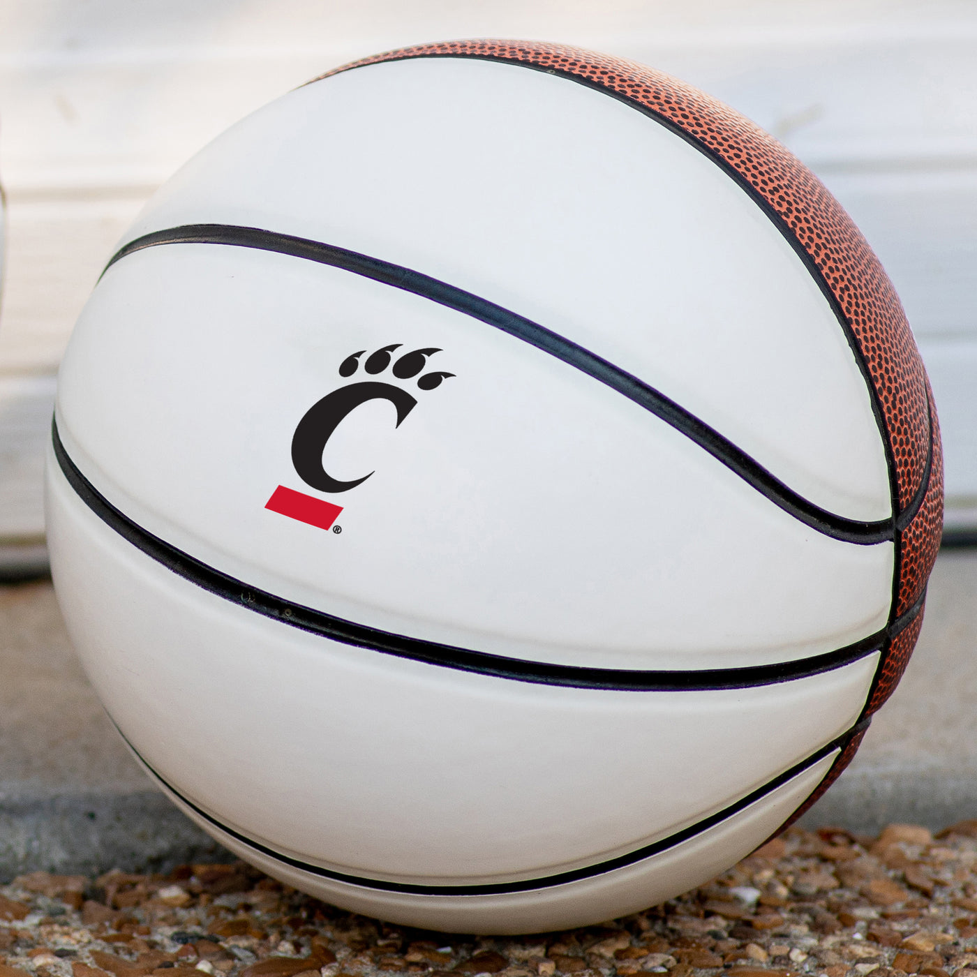 Cincinnati Mini Size Autograph Basketball