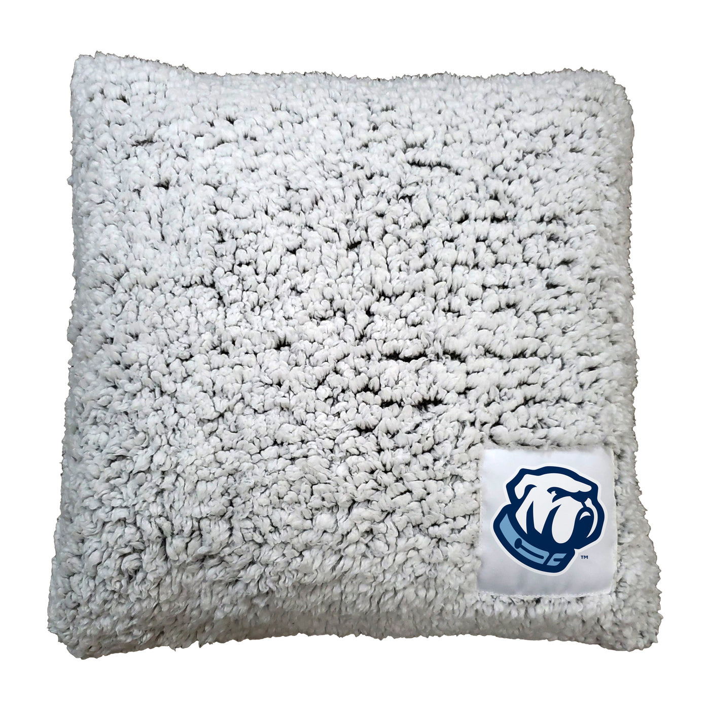 The Citadel Frosty Throw Pillow