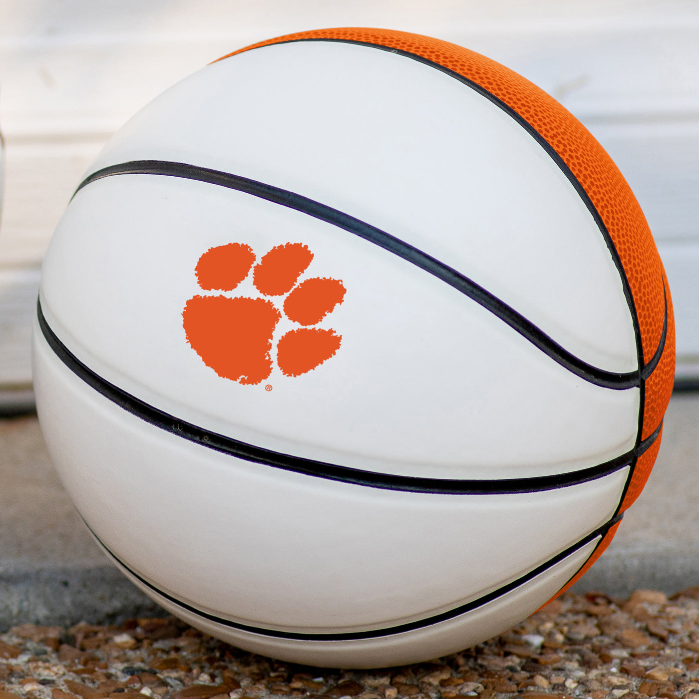 Clemson Mini-Size Autograph Basketball