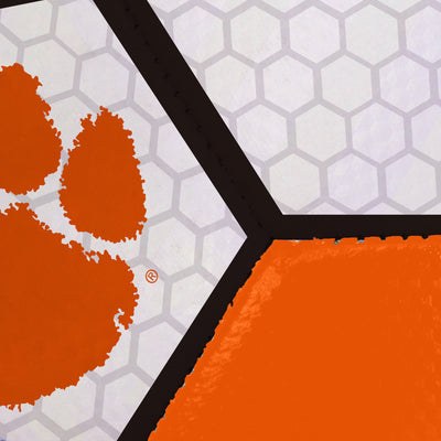 Clemson Soccer Ball