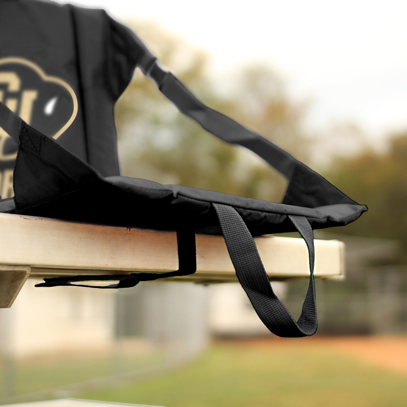 Colorado Stadium Seat