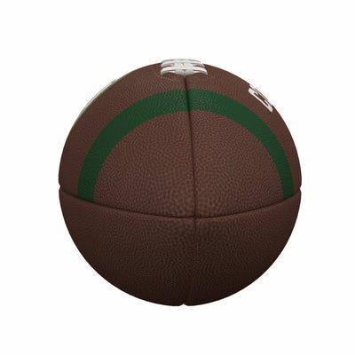 CO State Team Stripe Official-Size Composite Football