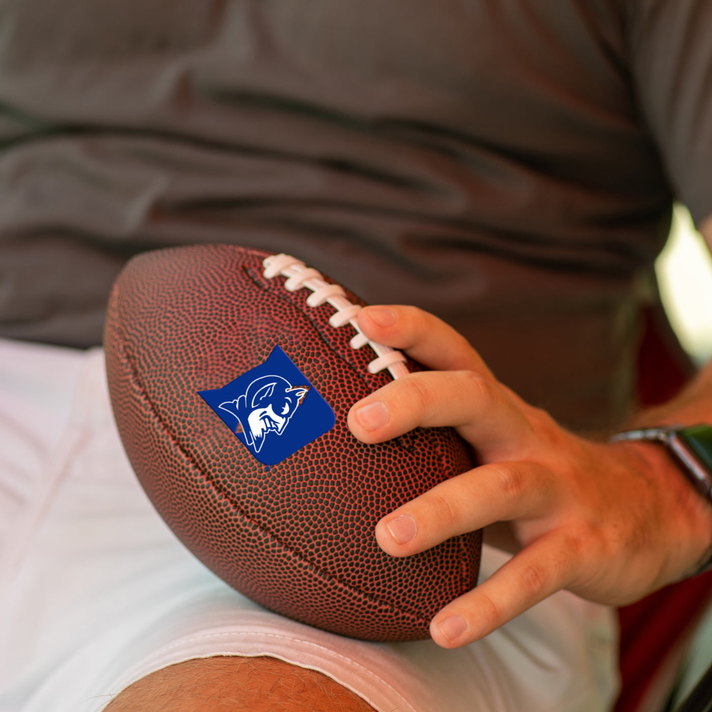 Duke Mini Size Composite Football