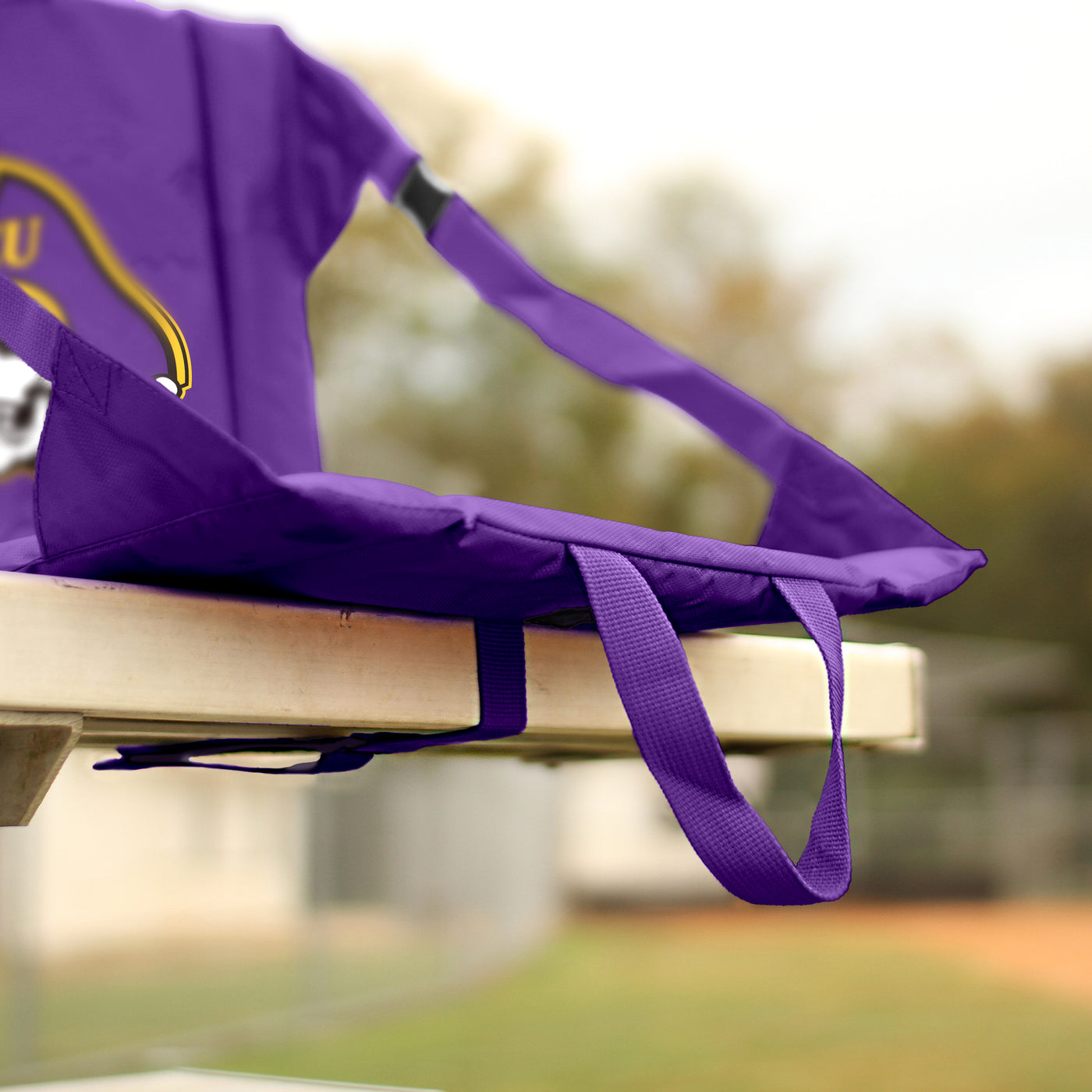 East Carolina Stadium Seat