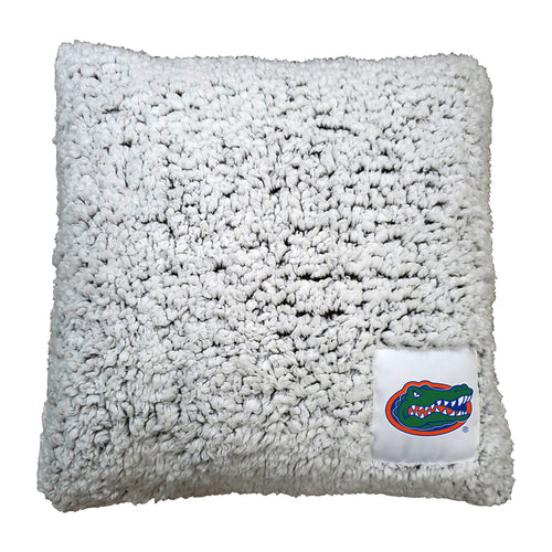 Florida Frosty throw pillow from Logo Brands featuring soft fabric with Florida-themed winter design.
