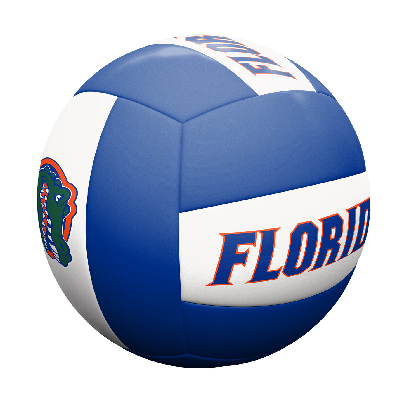 Florida Volleyball