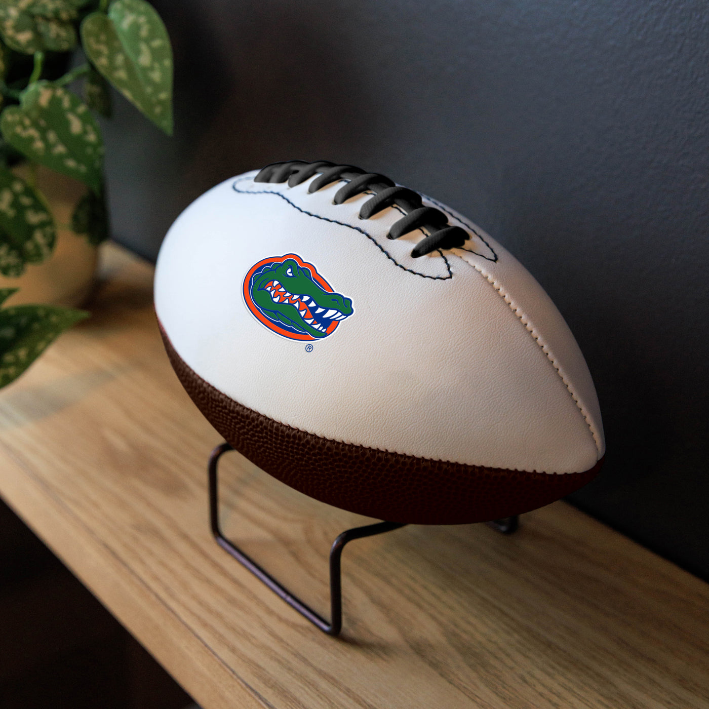 Florida Mini Autograph Football