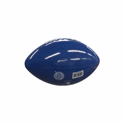 Florida Mini Size Glossy Football