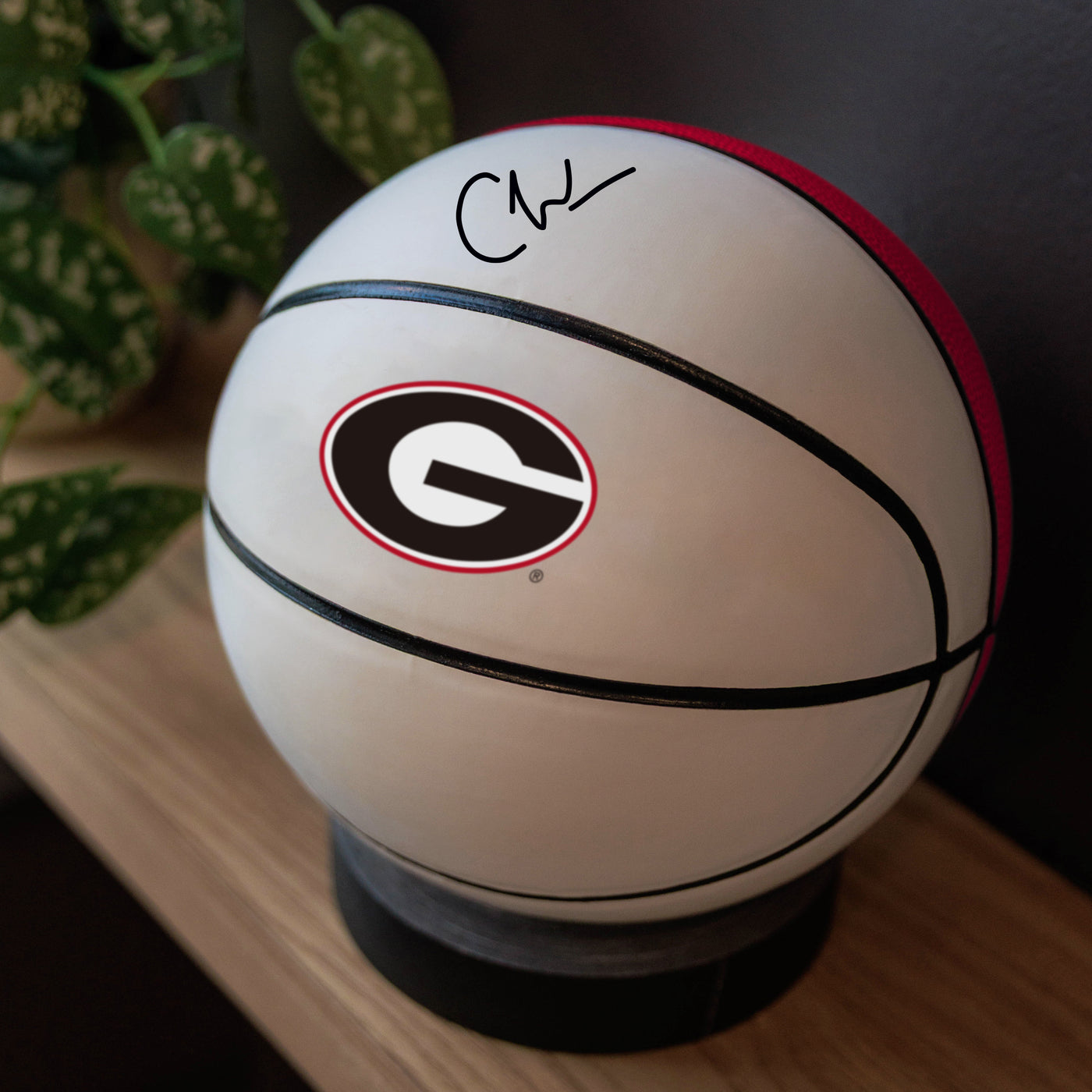 Georgia Mini Size Autograph Basketball