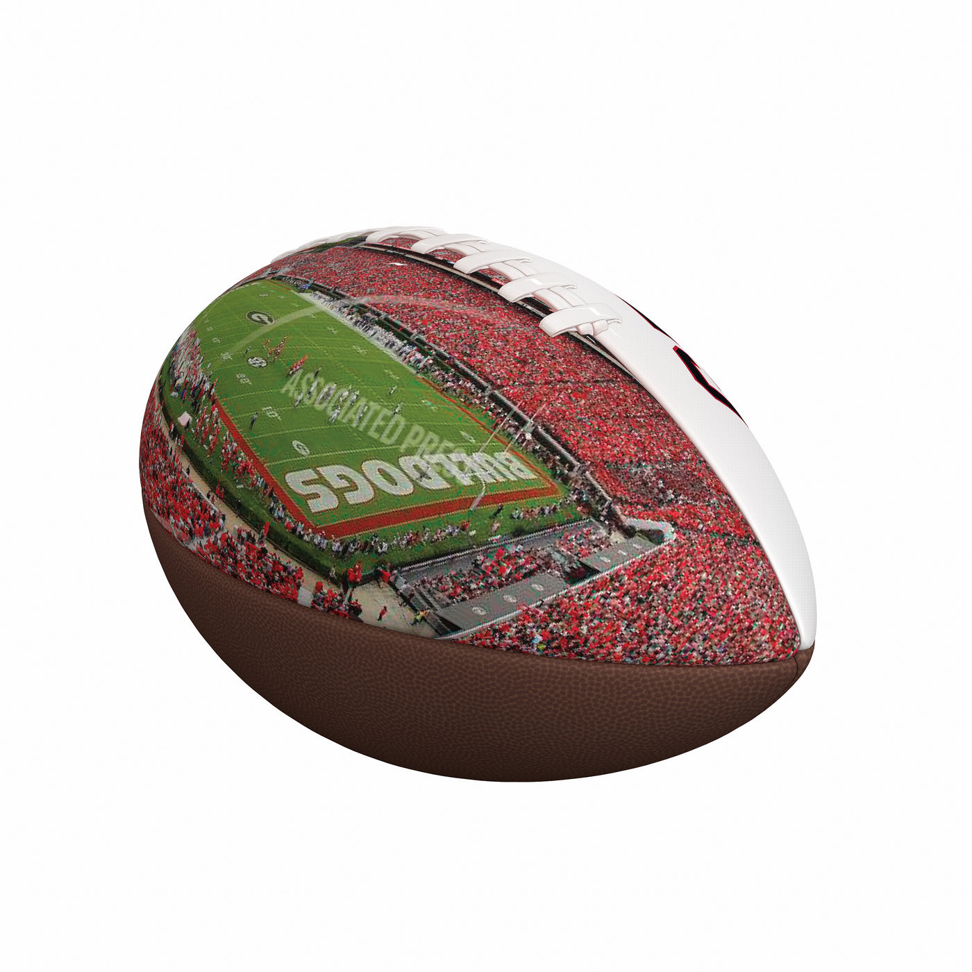 Georgia Full Gameday Size Photo Football