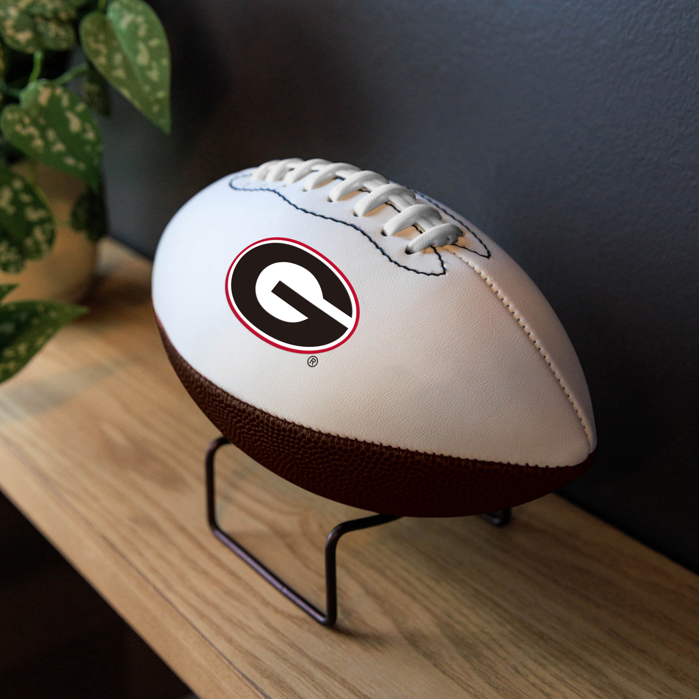 Georgia Mini-Size Autograph Football