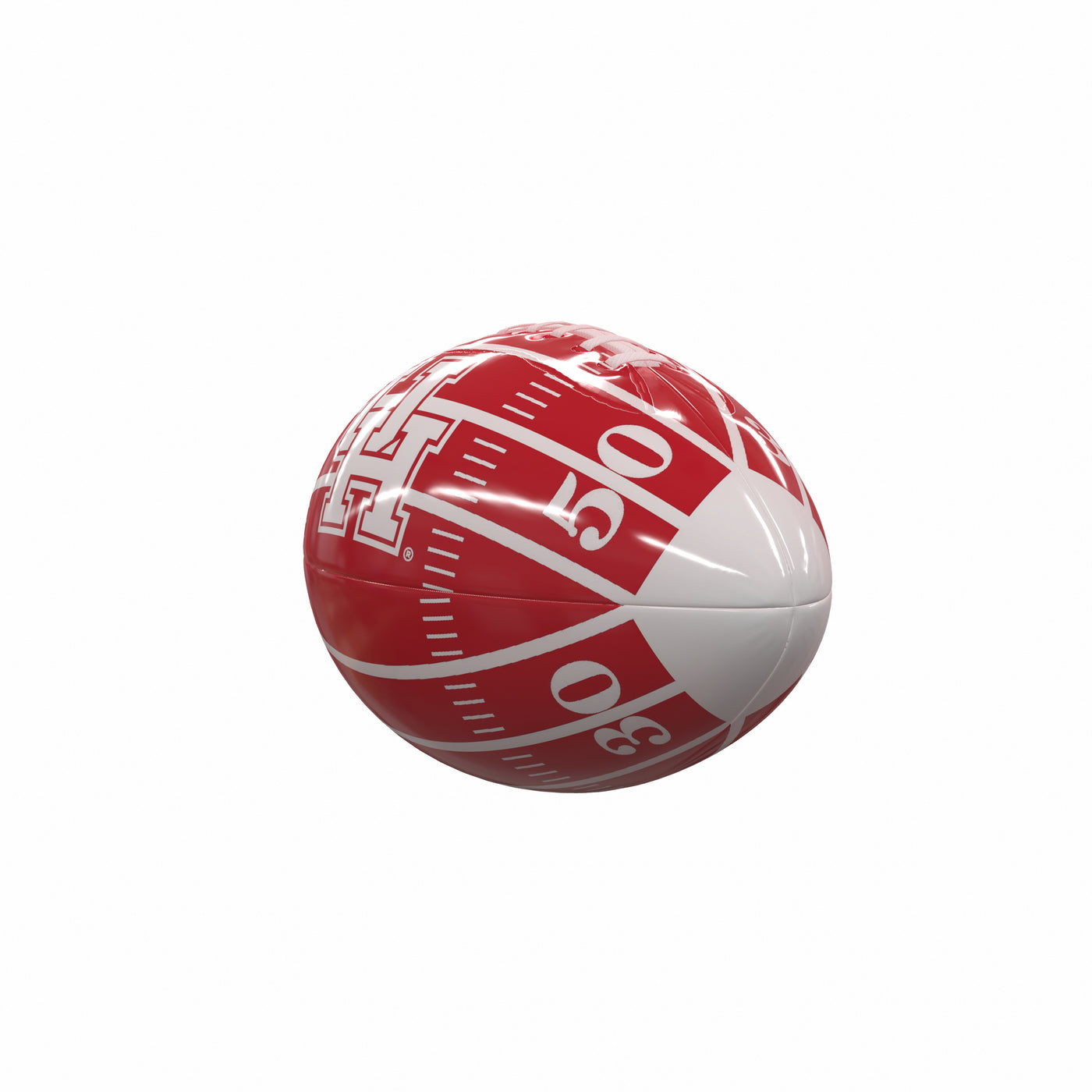Houston Field Mini-Size Glossy Football