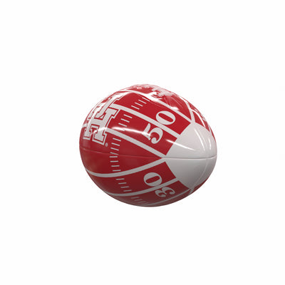 Houston Field Mini-Size Glossy Football