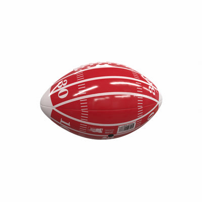 Houston Field Mini-Size Glossy Football