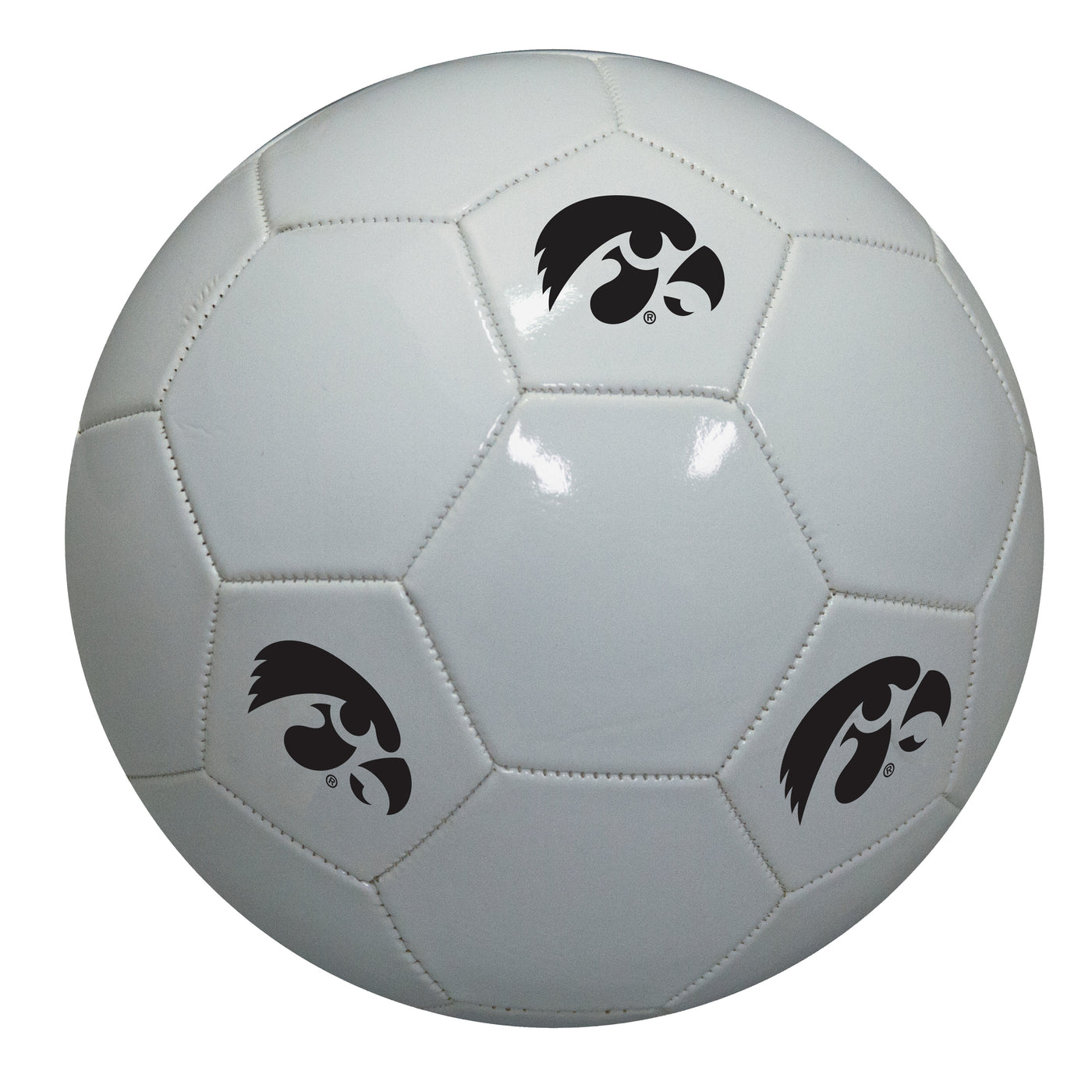 Iowa Soccer Ball