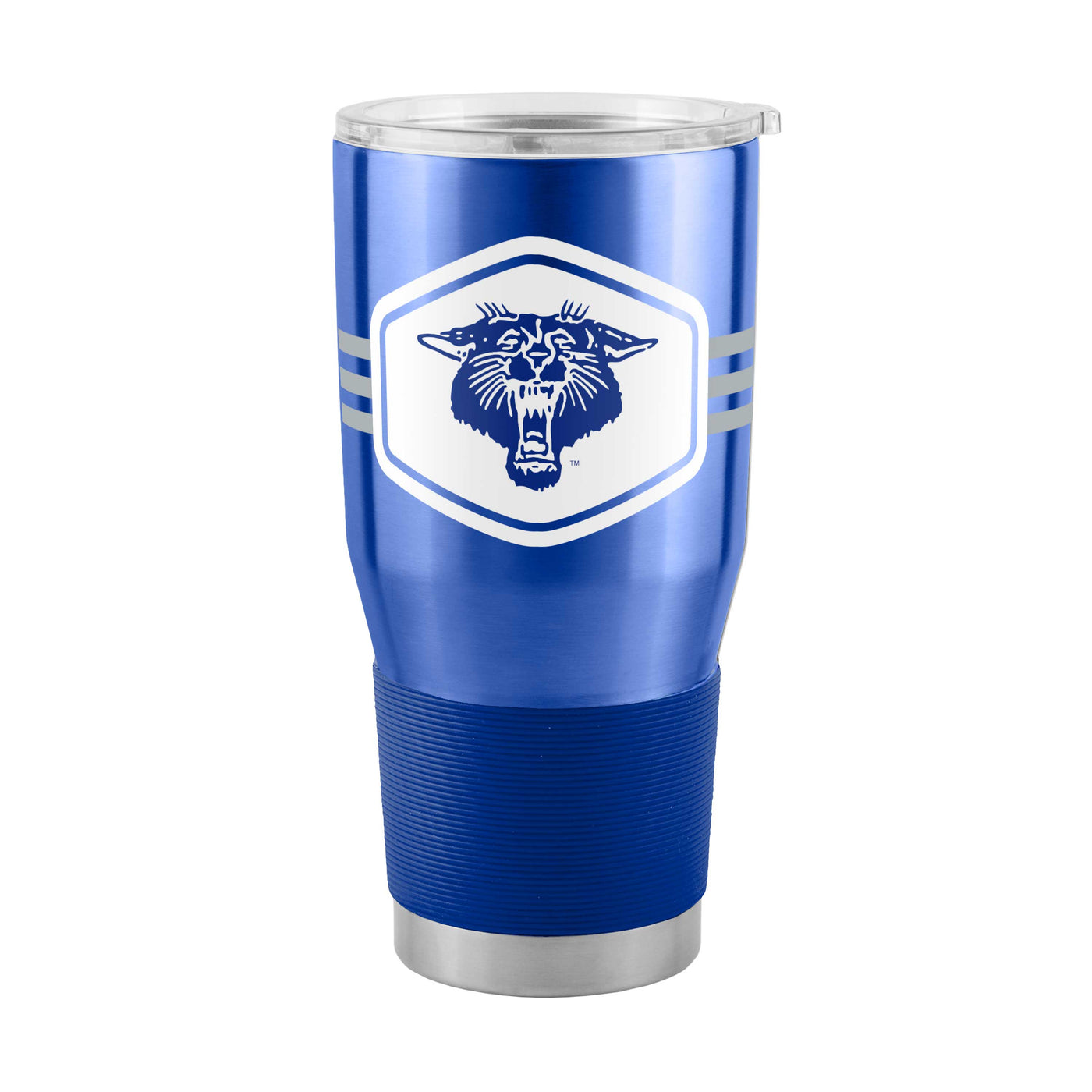 Kentucky 30oz Varsity Stainless Steel Tumbler