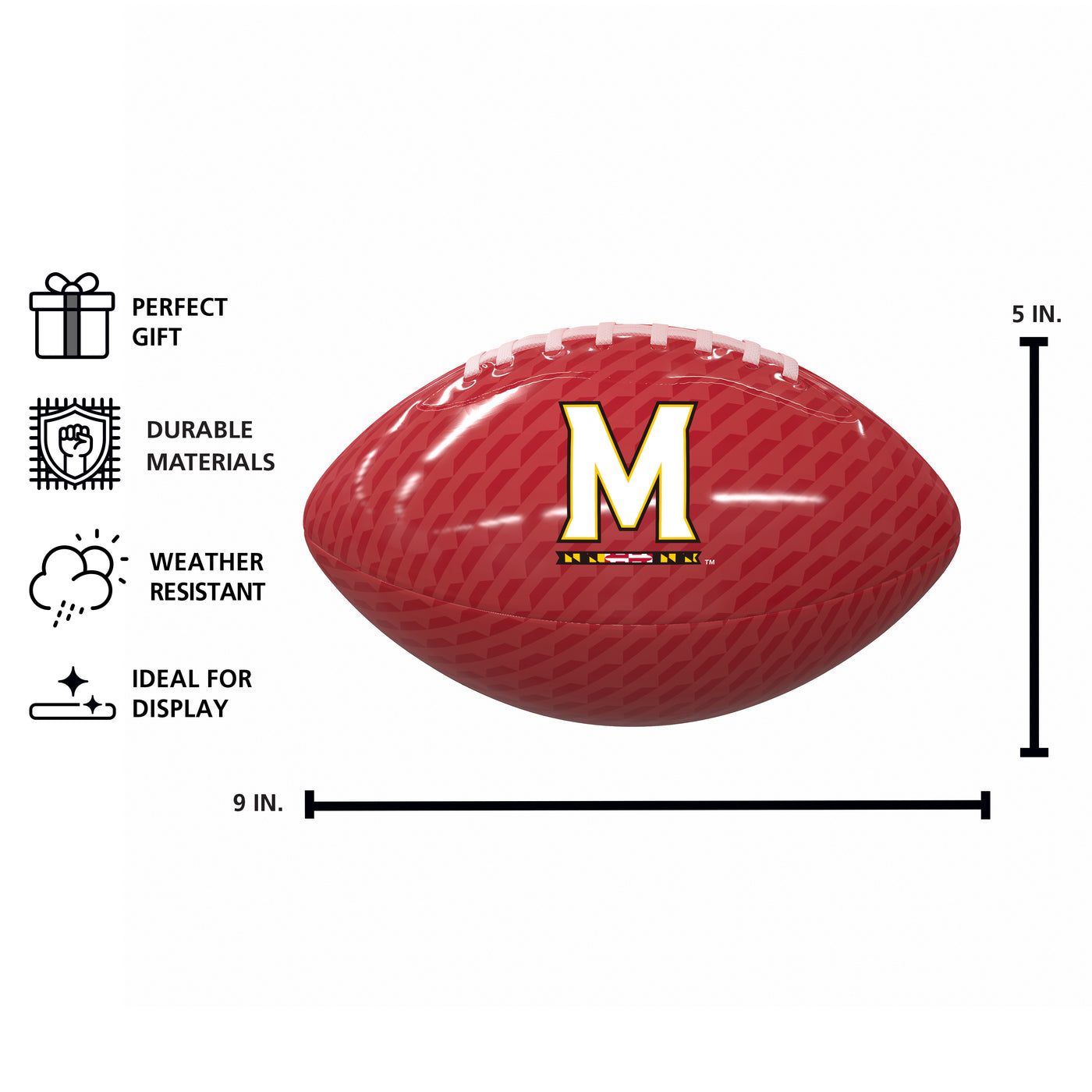 Maryland Carbon Fiber Mini-Size Glossy Football
