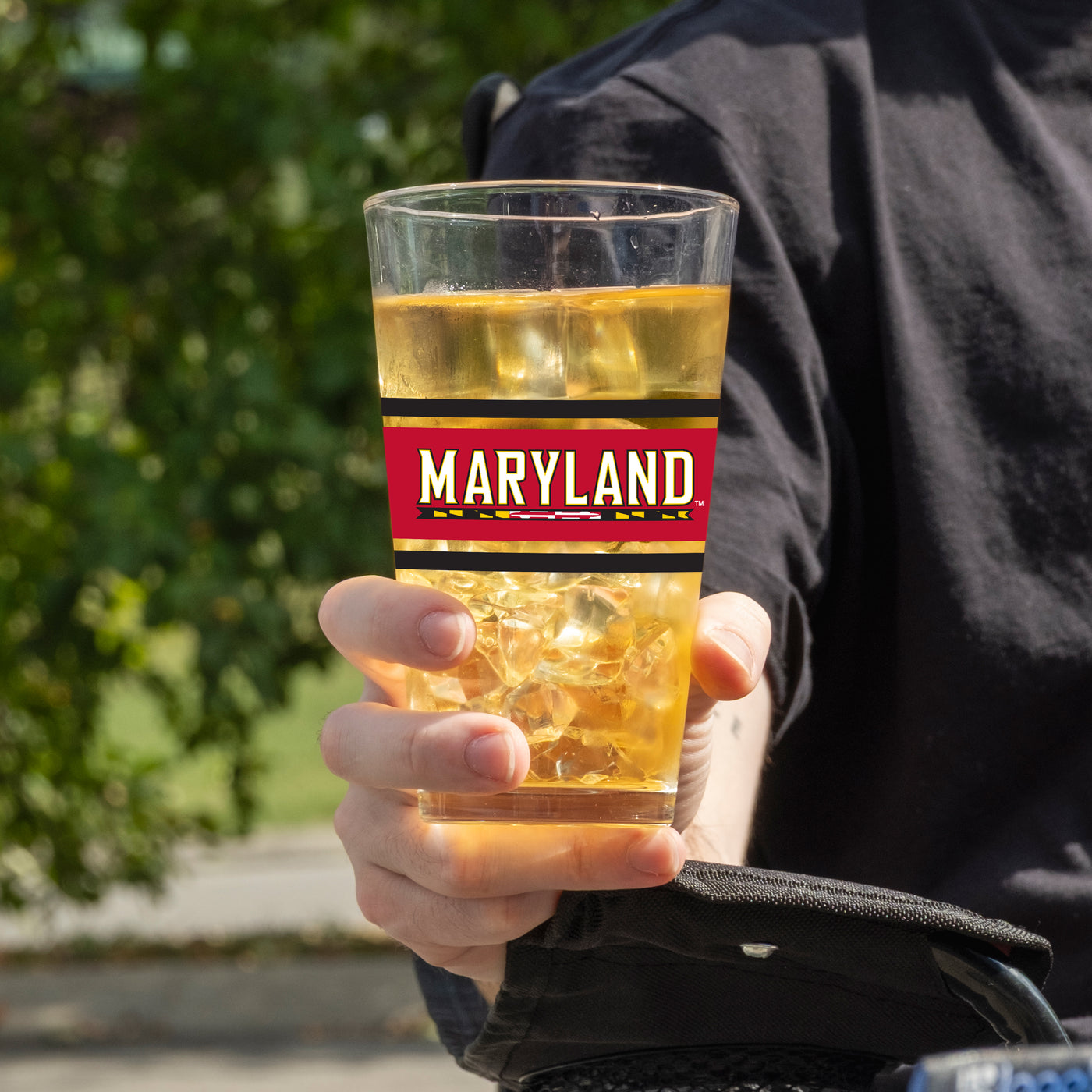 Maryland 16oz Stripe Pint Glass
