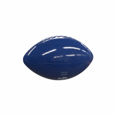 Memphis Carbon Fiber Mini Size Glossy Football