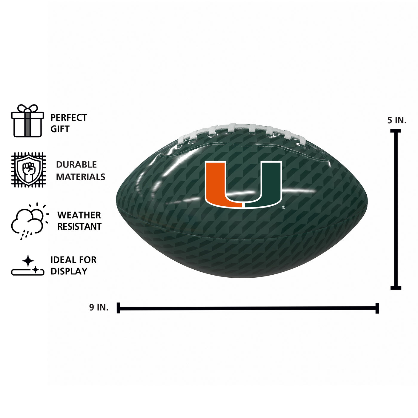 Miami Carbon Fiber Mini Size Glossy Football