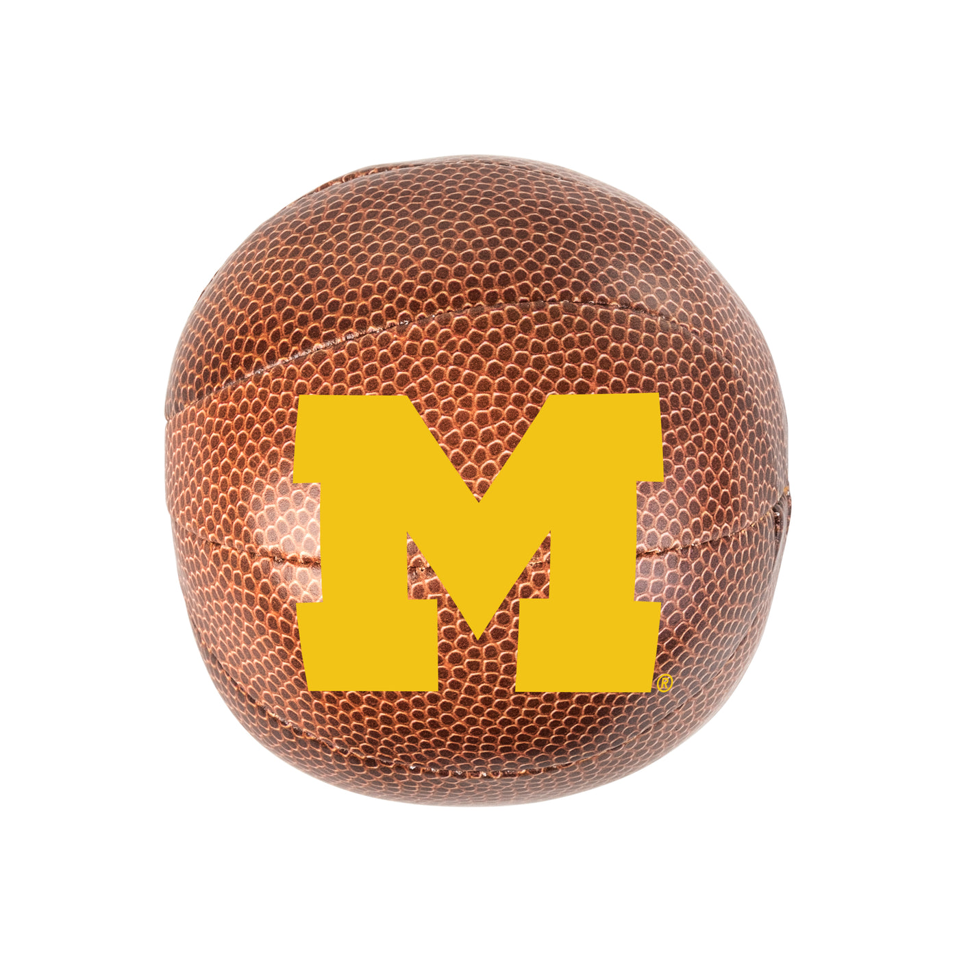 Michigan Micro Soft Basketball