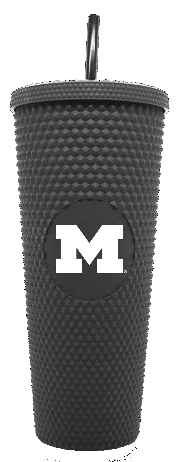 Michigan 24oz Studded Tumbler