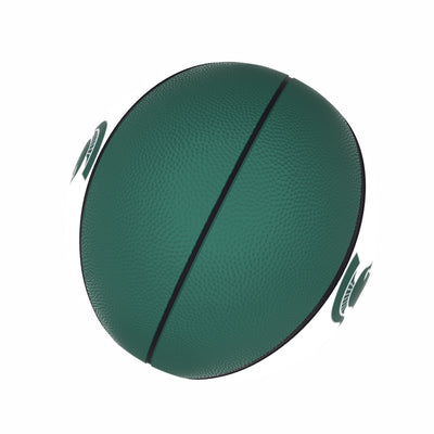 Michigan State Official-Size Autograph Basketball