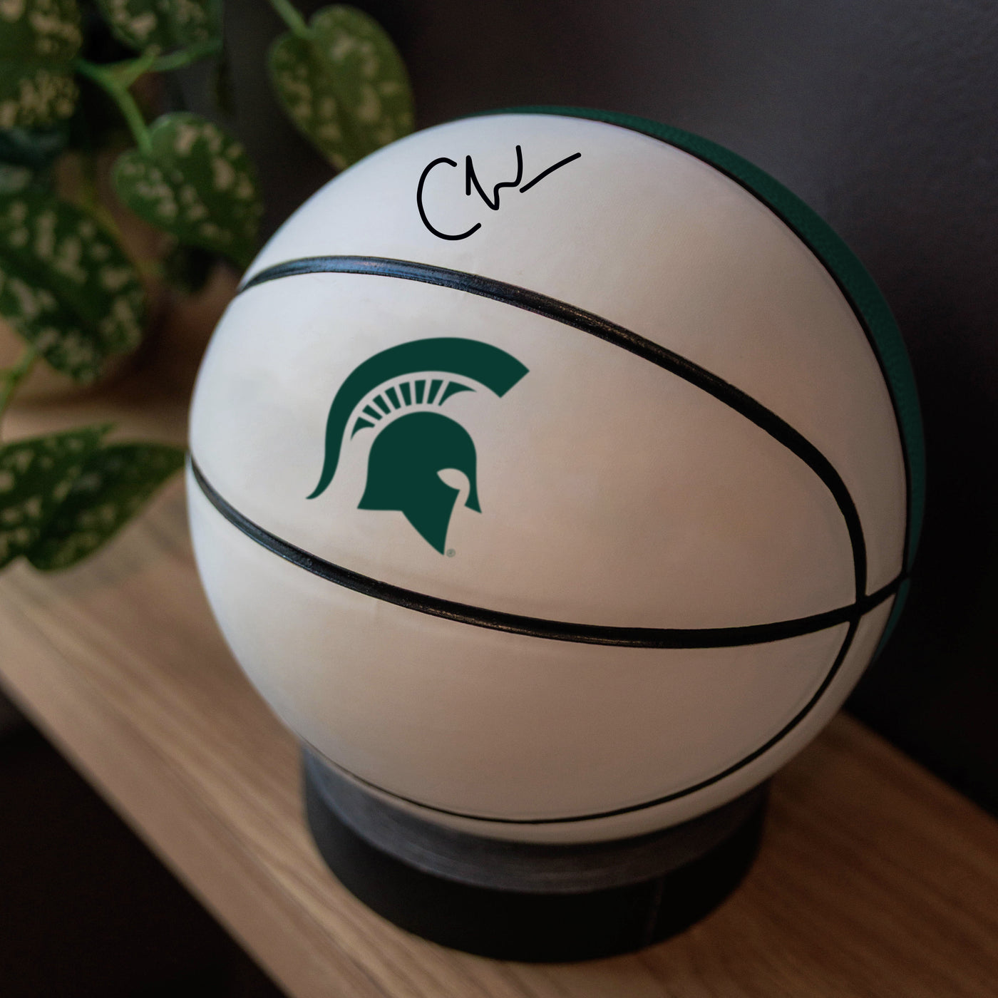 Michigan State Mini Size Autograph Basketball