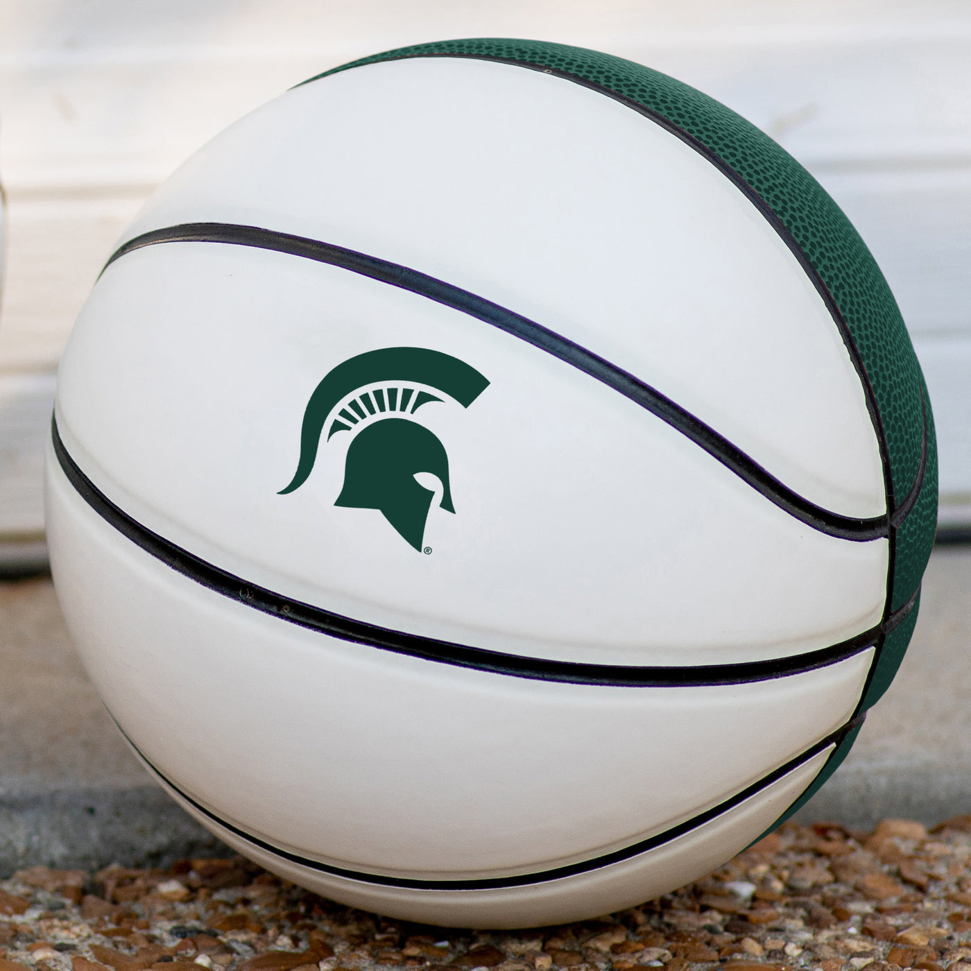 Michigan State Mini Size Autograph Basketball