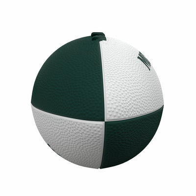 Michigan State Pinwheel Logo Junior Size Rubber Football