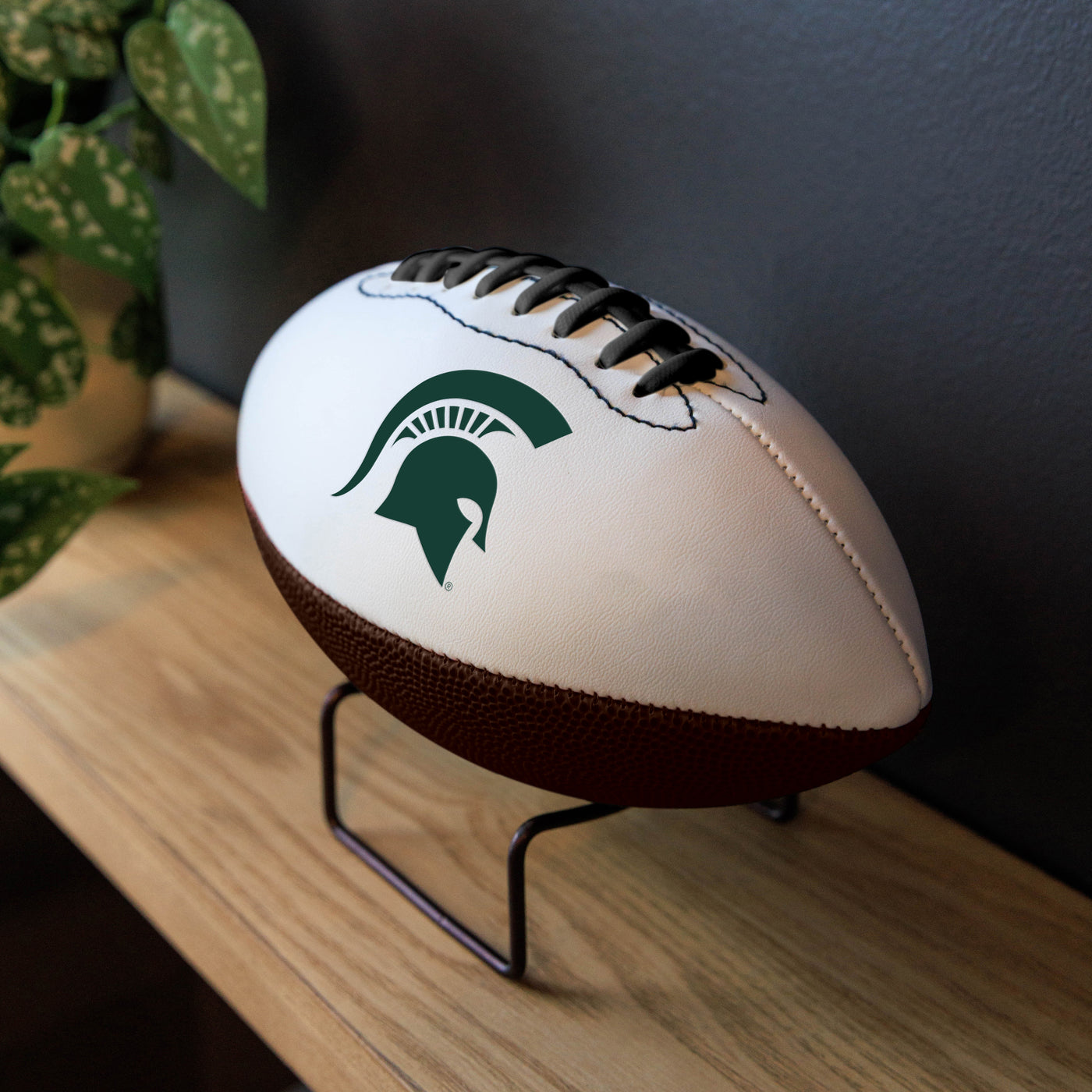 MI State Mini-Size Autograph Football