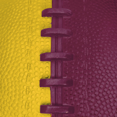 Minnesota Pinwheel Junior Size Rubber Football