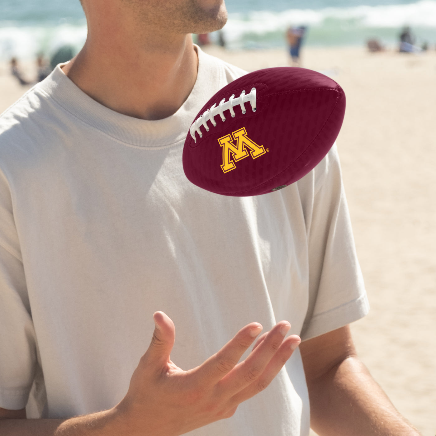 Minnesota Carbon Fiber Mini Size Glossy Football