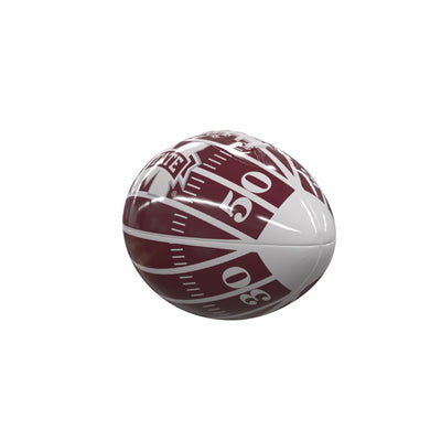 Mississippi State Field Mini-Size Glossy Football