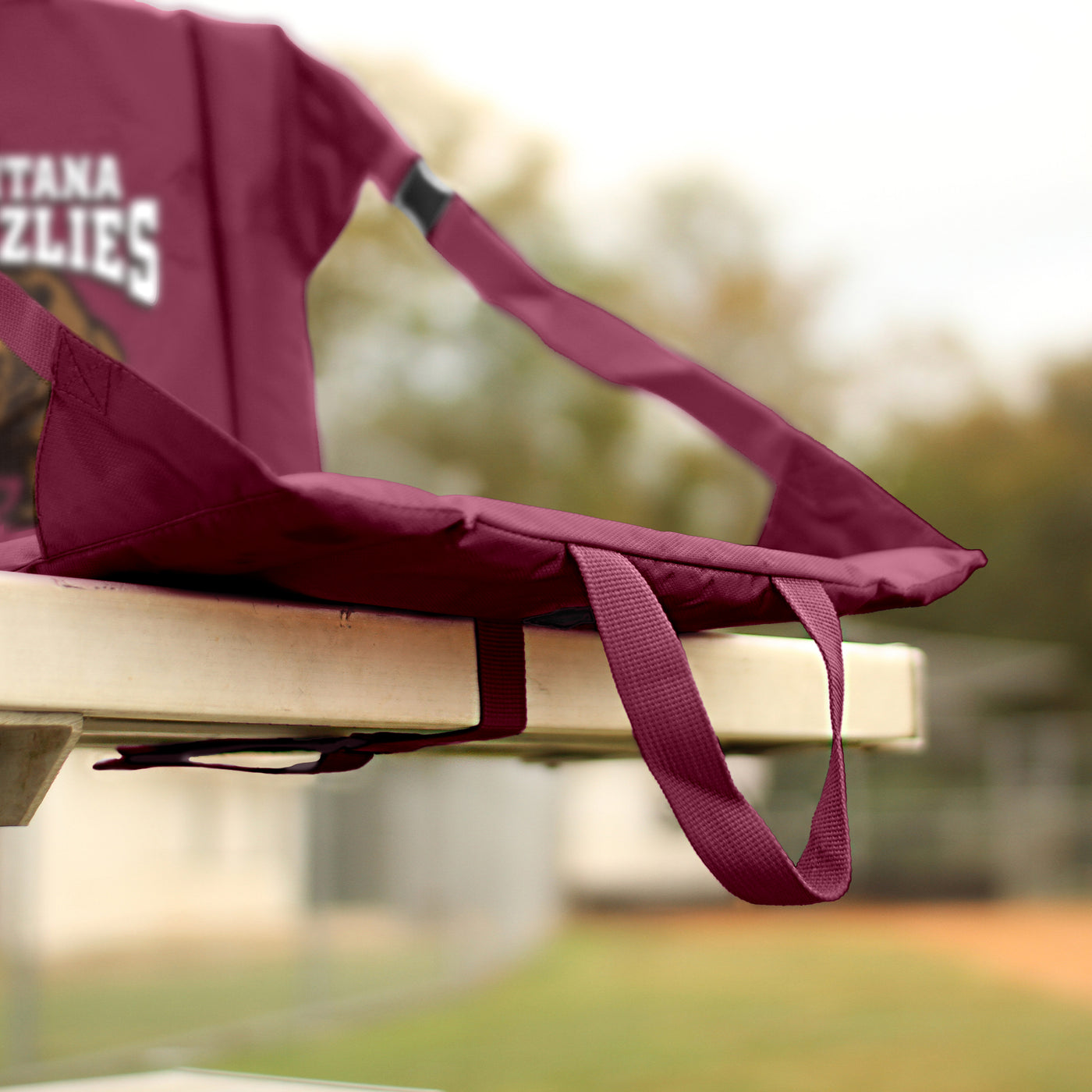 Montana Stadium Seat