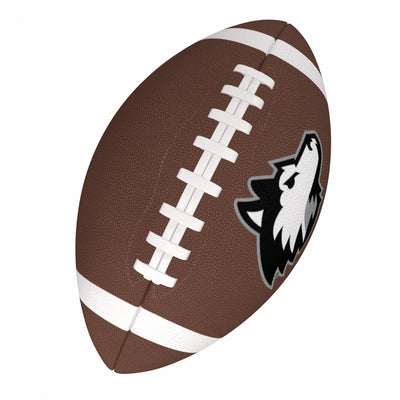Northern Illinois Fullsize Composite Football