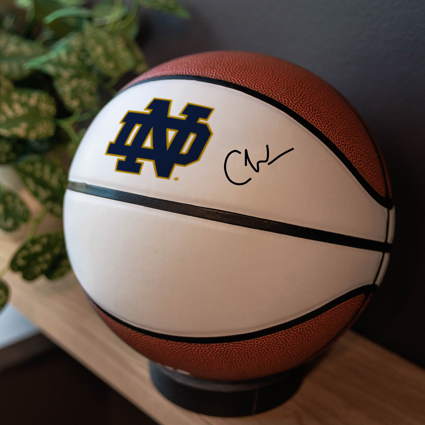 Notre Dame Official-Size Autograph Basketball